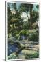 Waco, Texas - a Beautiful View in Cameron Park, c.1944-Lantern Press-Mounted Art Print