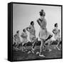 WACs Doing Daily Calisthenics Exercises-Marie Hansen-Framed Stretched Canvas