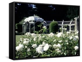 Waddesdon Manor Garden, England-Lauree Feldman-Framed Stretched Canvas