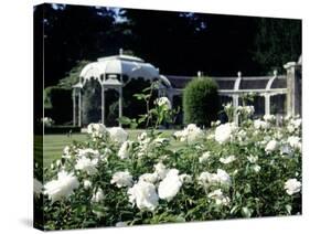 Waddesdon Manor Garden, England-Lauree Feldman-Stretched Canvas