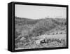 Wade and Jones Railroad Camp in Whitewood Canyon Photograph - Black Hills, SD-Lantern Press-Framed Stretched Canvas