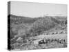 Wade and Jones Railroad Camp in Whitewood Canyon Photograph - Black Hills, SD-Lantern Press-Stretched Canvas