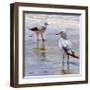 Waders-Lucia Heffernan-Framed Art Print