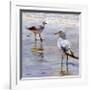 Waders-Lucia Heffernan-Framed Art Print