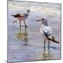 Waders-Lucia Heffernan-Mounted Art Print