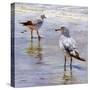 Waders-Lucia Heffernan-Stretched Canvas