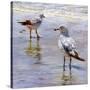 Waders-Lucia Heffernan-Stretched Canvas