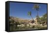 Wadi Bani Khalid, an Oasis in the Desert, Oman, Middle East-Angelo Cavalli-Framed Stretched Canvas