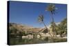 Wadi Bani Khalid, an Oasis in the Desert, Oman, Middle East-Angelo Cavalli-Stretched Canvas