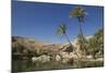 Wadi Bani Khalid, an Oasis in the Desert, Oman, Middle East-Angelo Cavalli-Mounted Photographic Print