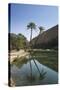 Wadi Bani Khalid, an Oasis in the Desert, Oman, Middle East-Angelo Cavalli-Stretched Canvas