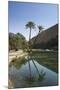 Wadi Bani Khalid, an Oasis in the Desert, Oman, Middle East-Angelo Cavalli-Mounted Photographic Print