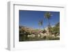 Wadi Bani Khalid, an Oasis in the Desert, Oman, Middle East-Angelo Cavalli-Framed Photographic Print