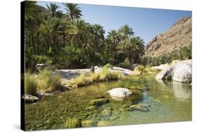 Wadi Bani Khalid, Oman, Middle East-Angelo Cavalli-Stretched Canvas