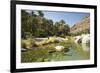 Wadi Bani Khalid, Oman, Middle East-Angelo Cavalli-Framed Photographic Print