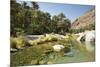 Wadi Bani Khalid, Oman, Middle East-Angelo Cavalli-Mounted Photographic Print