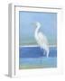 Wading Egret II-Sally Swatland-Framed Art Print