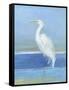 Wading Egret II-Sally Swatland-Framed Stretched Canvas