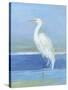 Wading Egret II-Sally Swatland-Stretched Canvas