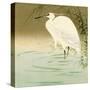 Wading Egret-Koson Ohara-Stretched Canvas