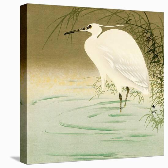 Wading Egret-Koson Ohara-Stretched Canvas
