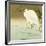 Wading Egret-Koson Ohara-Framed Giclee Print