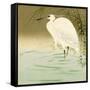 Wading Egret-Koson Ohara-Framed Stretched Canvas