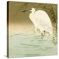 Wading Egret-Koson Ohara-Stretched Canvas