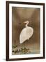 Wading Egret-Koson Ohara-Framed Giclee Print