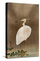 Wading Egret-Koson Ohara-Stretched Canvas