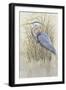 Wading II-Tim O'toole-Framed Art Print