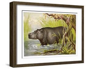 Wading in an Egyptian Lake-null-Framed Art Print