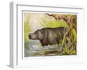 Wading in an Egyptian Lake-null-Framed Art Print