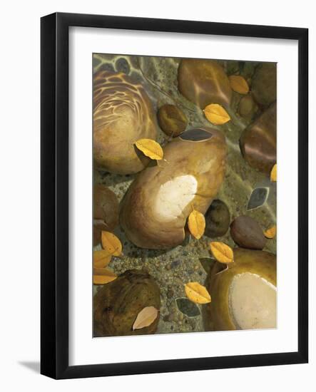 Wading-Stephen Stavast-Framed Giclee Print