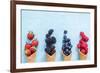 Waffle with Fresh Berries, Homemade Ice Cream Making-Marcin Jucha-Framed Photographic Print