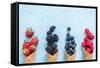 Waffle with Fresh Berries, Homemade Ice Cream Making-Marcin Jucha-Framed Stretched Canvas