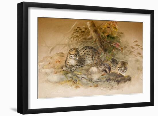 Wagati Cat, 1851-69-Joseph Wolf-Framed Giclee Print