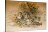 Wagati Cat, 1851-69-Joseph Wolf-Stretched Canvas