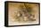 Wagati Cat, 1851-69-Joseph Wolf-Framed Stretched Canvas