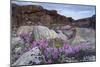 Wager Bay, Ukkusiksalik National Park, Nunavut, Canada-Paul Souders-Mounted Photographic Print