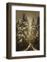 Wagner Creek Snow-David Lorenz Winston-Framed Giclee Print