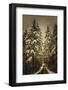 Wagner Creek Snow-David Lorenz Winston-Framed Art Print