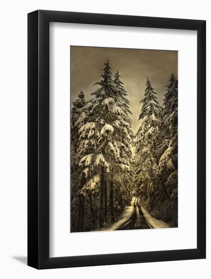 Wagner Creek Snow-David Lorenz Winston-Framed Art Print