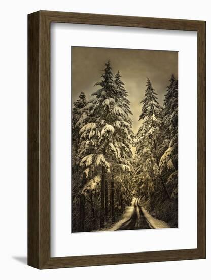 Wagner Creek Snow-David Lorenz Winston-Framed Art Print