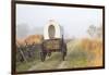 Wagon along the Oregon Trail at Whitman Mission, Walla Walla, Washington State-Brent Bergherm-Framed Photographic Print