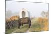 Wagon along the Oregon Trail at Whitman Mission, Walla Walla, Washington State-Brent Bergherm-Mounted Photographic Print