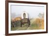 Wagon along the Oregon Trail at Whitman Mission, Walla Walla, Washington State-Brent Bergherm-Framed Photographic Print