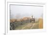 Wagon along the Oregon Trail at Whitman Mission, Walla Walla, Washington State-Brent Bergherm-Framed Photographic Print