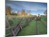 Wagon at Sunrise Along the Oregon Trail, Walla Walla County, WA USA-Brent Bergherm-Mounted Photographic Print