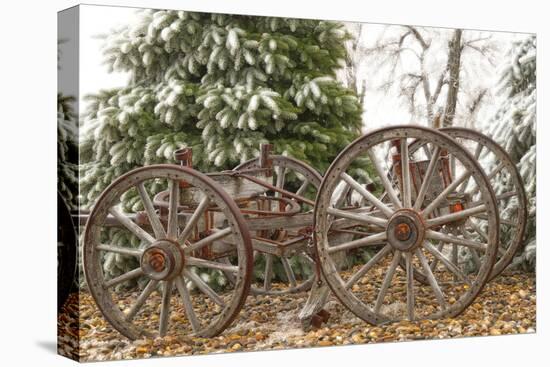 Wagon in Winter-Amanda Lee Smith-Stretched Canvas